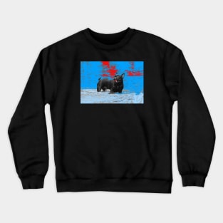 Black dog Crewneck Sweatshirt